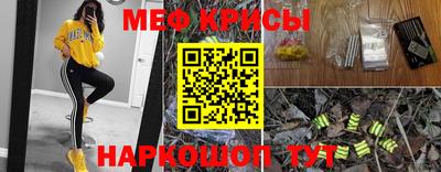 гидропоника Брянск