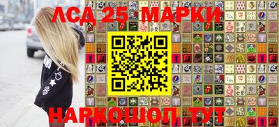 индика Боровичи