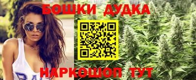 гидропоника Брянск