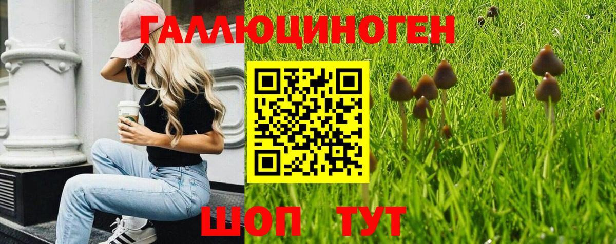 продажа наркотиков  Галлюциногенные грибы мухоморы  Вход с VPN  Рассказово 